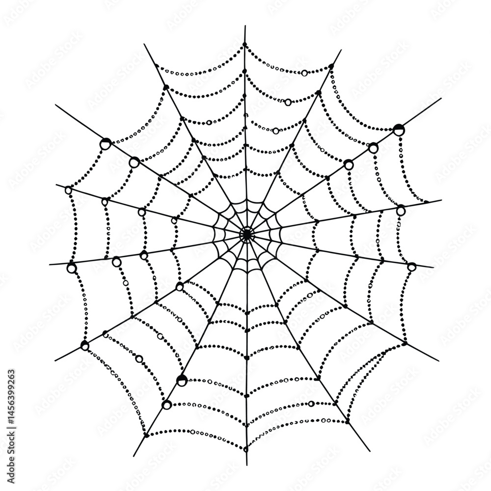 Obraz premium Morning dew on spiderweb Silhouette, Vector, Illustration, Icon, Logo, White Background.