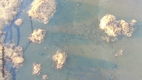 Lake or sea or pond view from above, flying over water and grass in water.