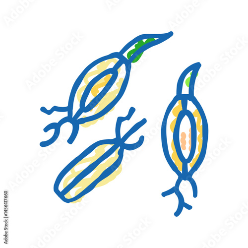 malt barley icon doodle illustration