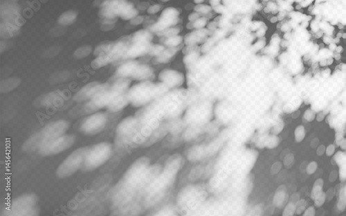 Abstract shadow overlay from tree branch on a transparent background.