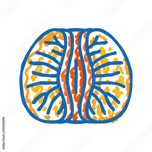 peeled tangerine slice icon doodle illustration