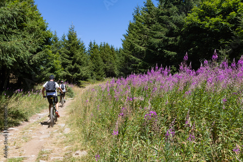 cyclistes à VTT sur un chemin forestier en été en montagne