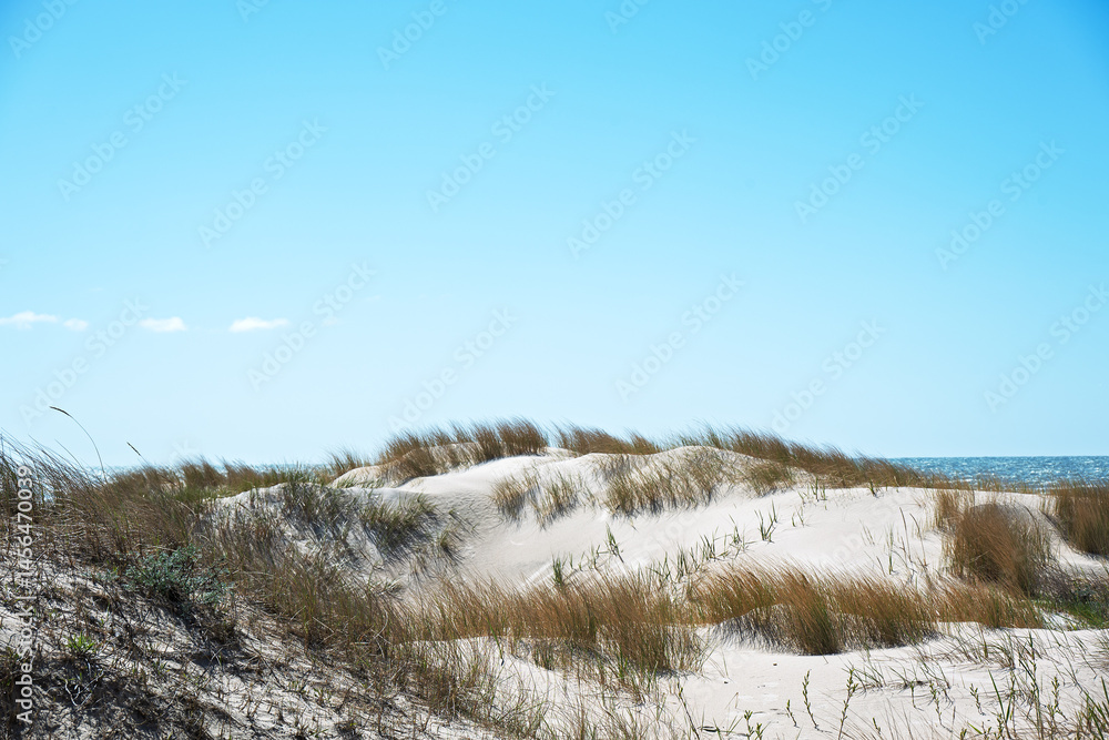 Sunny spring day by Baltic sea, Liepaja surroundings, Latvia.