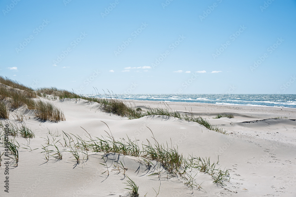 Sunny spring day by Baltic sea, Liepaja surroundings, Latvia.