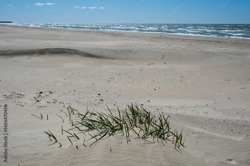 Sunny spring day by Baltic sea, Liepaja surroundings, Latvia.
