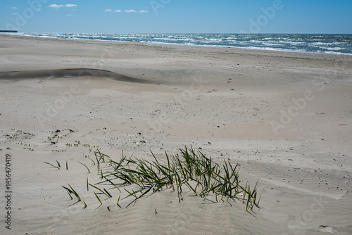 Obraz na płótnie Sunny spring day by Baltic sea, Liepaja surroundings, Latvia. w salonie