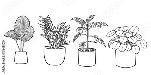 vector line art set of various kinds of houseplants. houseplants. natural room decoration. houseplants icon. hand draw illustration.