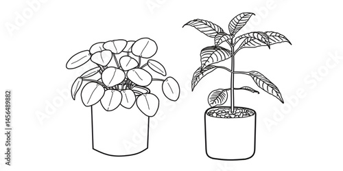 : set of ornamental plant icons, ornamental plant illustrations. hand drawn ornamental plants, wedding decorations, special day greeting cards for plants.