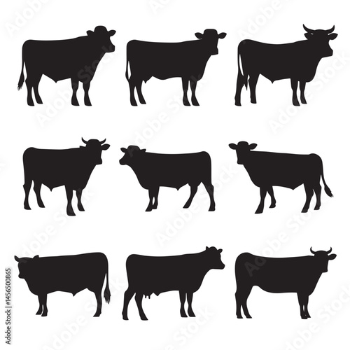 Vector silhouette set of cattle on white background