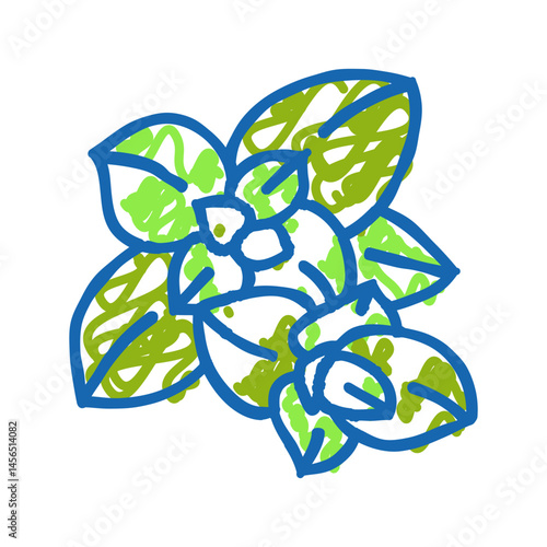 oregano food herb icon doodle illustration