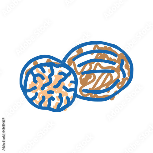 nutmeg food herb icon doodle illustration