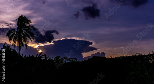 Foto Silhouette of a palm tree against a dramatic sunset sky