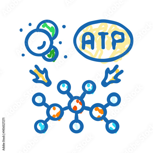 anabolism biochemistry icon doodle illustration