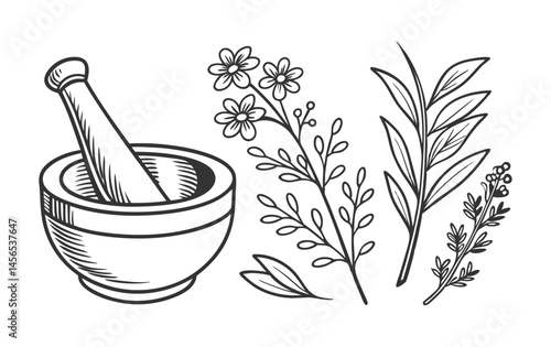 Isolated on white, a wooden mortar with herbs awaits grinding by its pestle, a traditional tool for kitchen, medicine, and herbal preparation