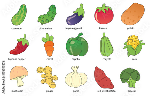 Colorful vegetable assortment with names in flat style, perfect for food, nutrition, and educational themes.