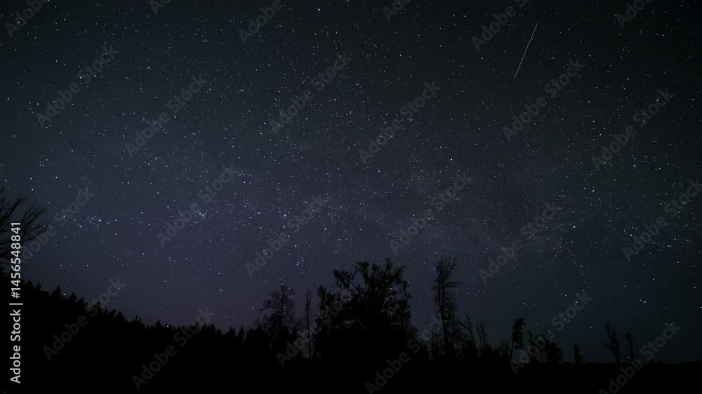 Starry night sky above a dark forest landscape, many artificial satellites flying across the starry sky. Starry night sky above a dark forest landscape, many artificial satellites flying across the starry sky.