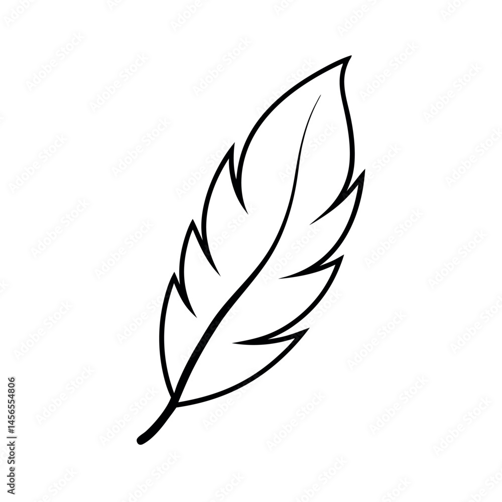 Feather Accent Decoration Line Art Vector Feather Accent Decoration Line Art Vector