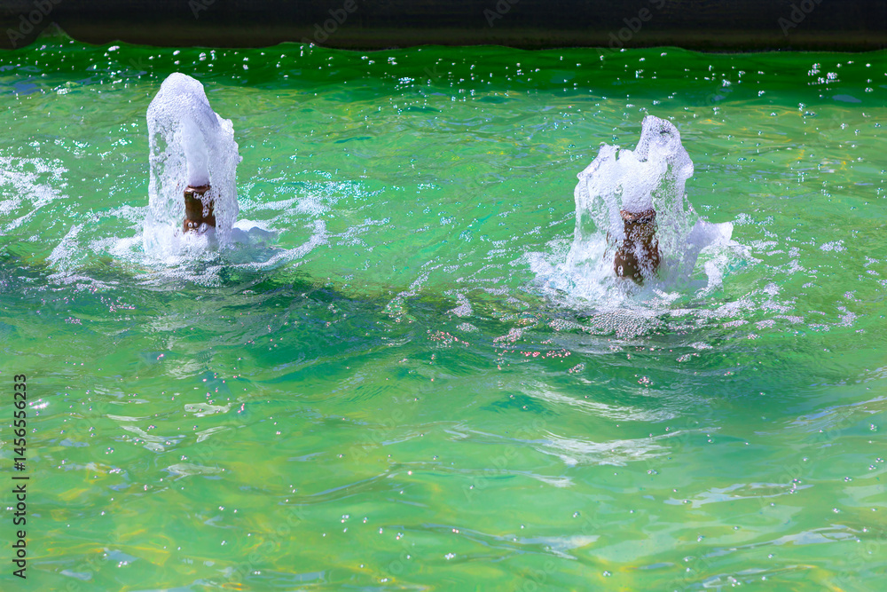 Two water jets erupting from a greenish pool, creating white splashes against the calm surface. Scene is framed by a dark edge, suggesting it might be part of a fountain or water feature