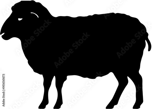 silhouette of a sheep