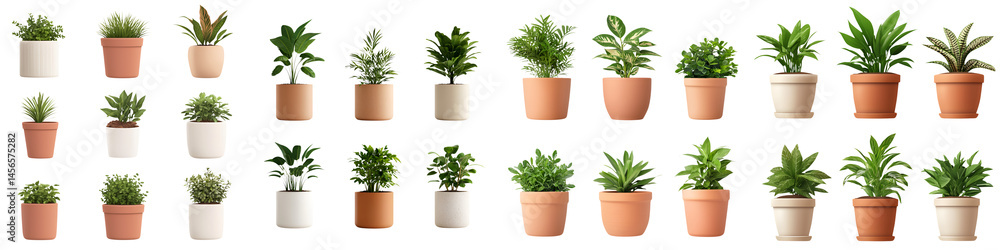 Obraz premium A collection of potted indoor plants and greenery displayed in various pots and containers. long_title:A diverse assortment of healthy, thriving