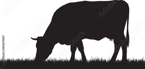 Cow silhouette grazing in pasture