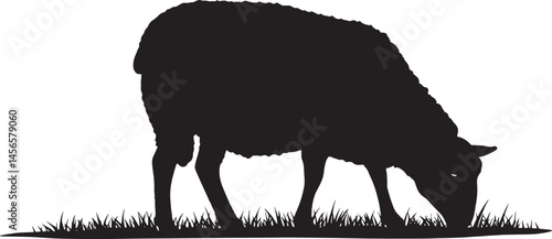 Sheep silhouette grazing vector