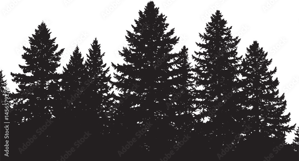 Obraz premium Dark forest silhouette background