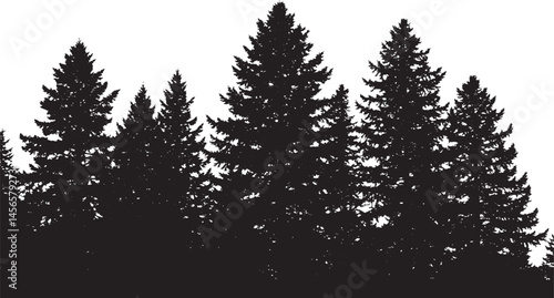 Dark forest silhouette background