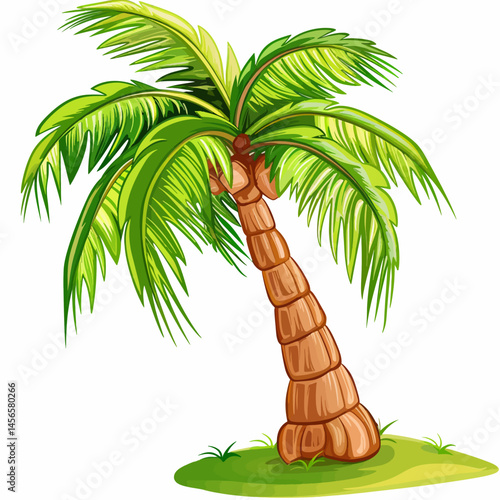 coconut palm tree on white 