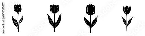 Vector illustration of black and white tulips with distinct petal shapes and leaf designs in a minimalistic style
