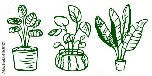 A set of line art illustrations featuring various indoor plants in flowerpots and botanical elements. Includes simple drawings in a minimalist style. Suitable for home decor and gardening concepts.