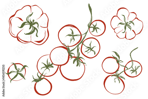 Set of vector illustrations with tomatoes. Vegetables and ingredients for dishes like pasta, pizza, and caprese. Images of fresh, organic tomatoes with on white background for packaging and labels.