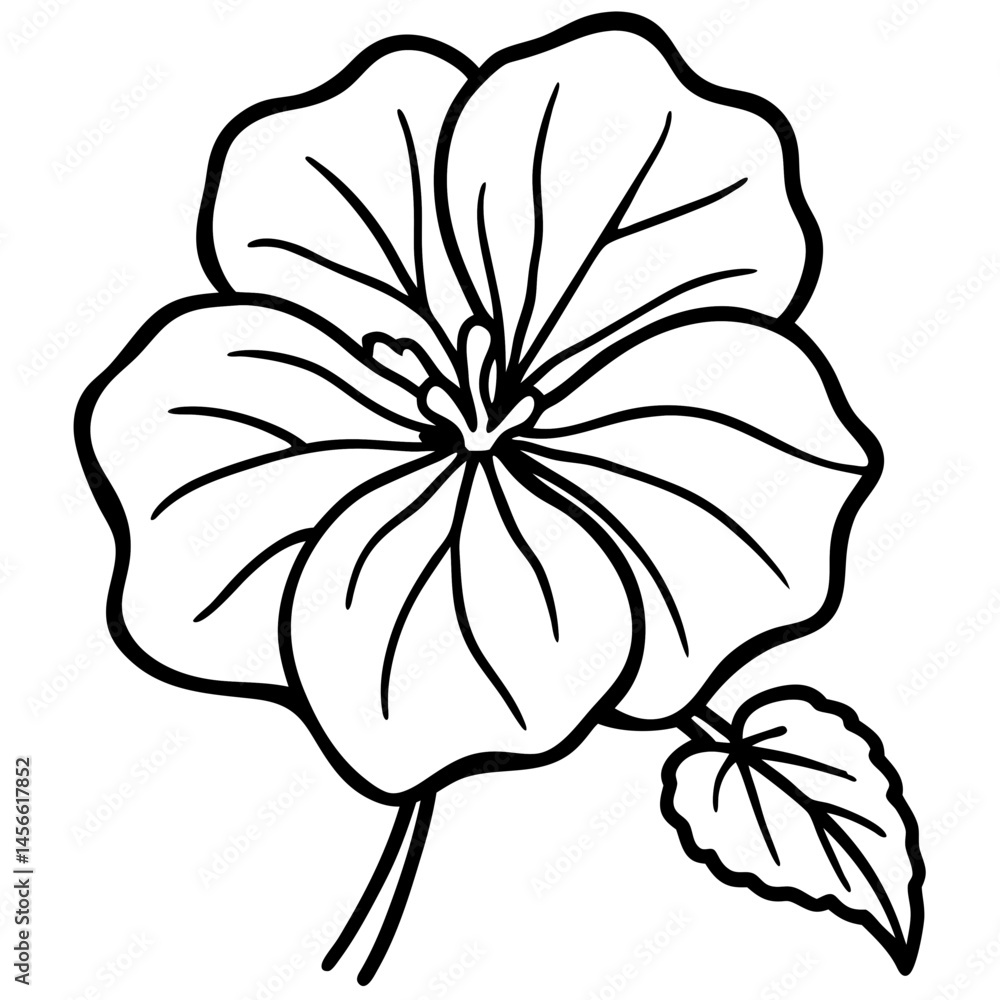 Fototapeta premium Minimal Nasturtium Vector on White