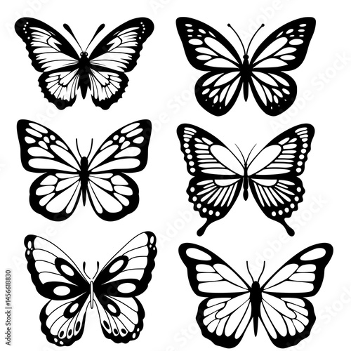 Silhouette of black butterflies. Collection of butterflies.