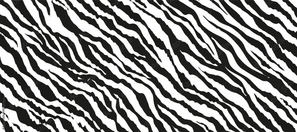 Zebra texture background. Striped zebra abstract background Zebra texture background. Striped zebra abstract background