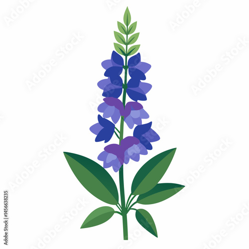 Minimal Delphinium Vector on White
