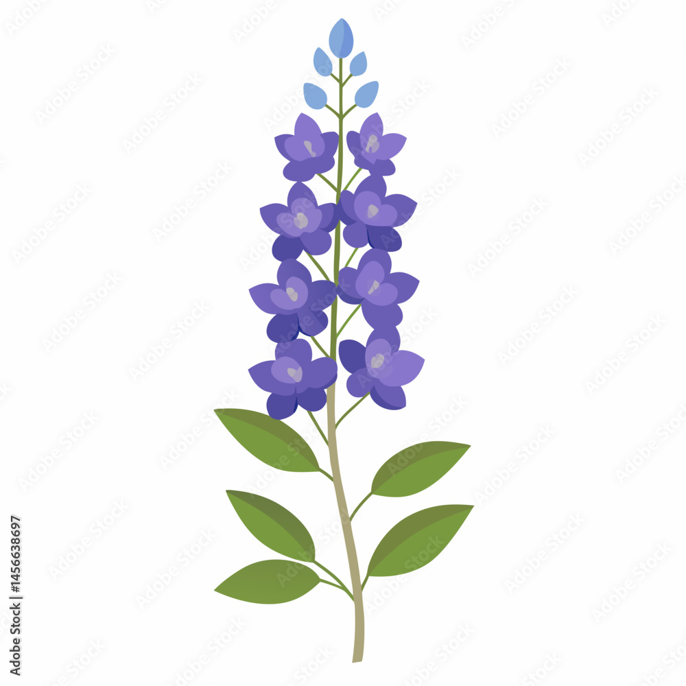 Obraz premium Minimal Delphinium Vector on White