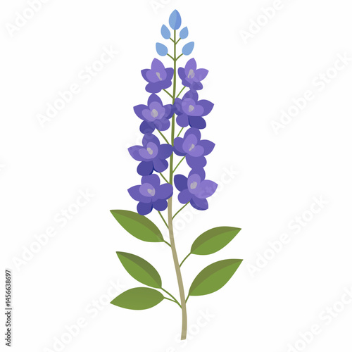 Minimal Delphinium Vector on White