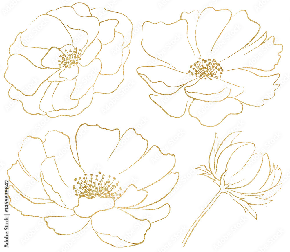 Hand drawn rose flowers golden outlines silhouette, romantic wedding isolated illustration
