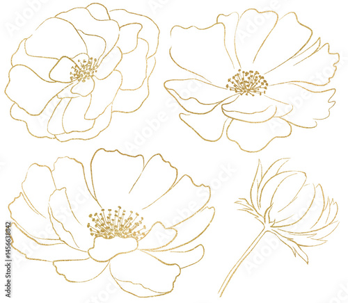 Obraz na płótnie Hand drawn rose flowers golden outlines silhouette, romantic wedding isolated illustration w salonie