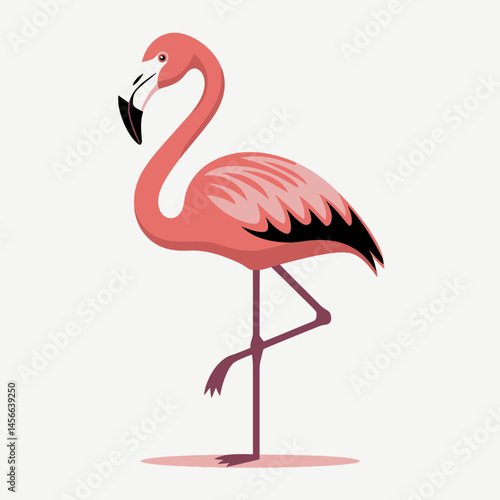 Flamingo Illustration Pink Bird Tropical Vector Graphic Summer Design