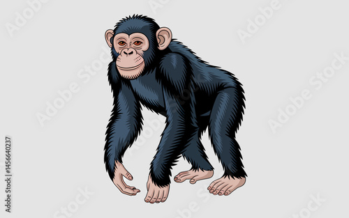 Detailed Illustration of a Chimpanzee Isolated on White Background