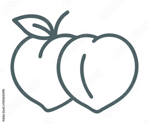 Outline vector of two fresh peaches with leaf detail.