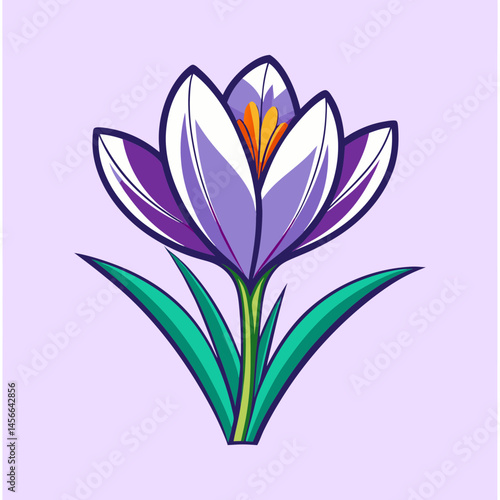Beautiful Purple Crocus Flower Spring Blossom Illustration Graphic Design