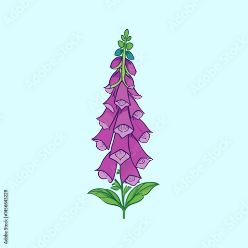 Illustration of a Purple Foxglove Flower with Green Leaves and Stem