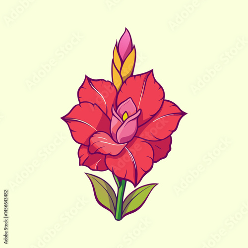 Vibrant Red Gladiolus Flower with Yellow Bud Detailed Illustration