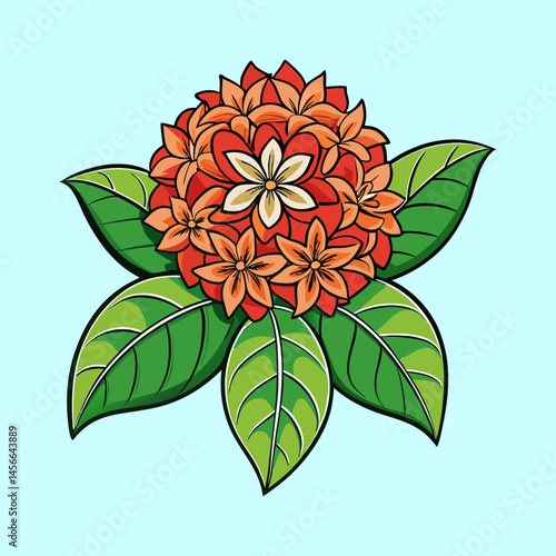 Vibrant Cluster of Orange Flowers with Lush Green Leaves Botanical Illustration