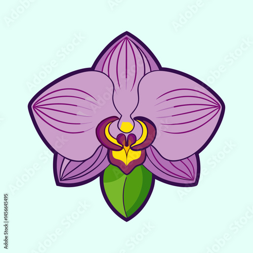 Beautiful Purple Orchid Flower Illustration Botanical Art Graphic Design