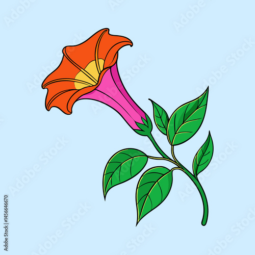 Vibrant illustration of a single datura flower with orange and pink petals and lush green leaves against a light blue background
