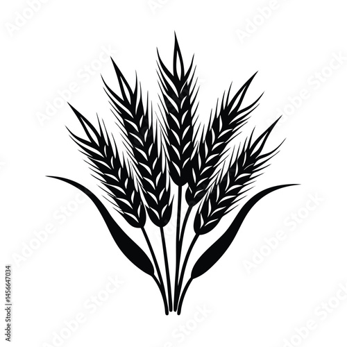 wheat seedlings on a white background vector art illustration